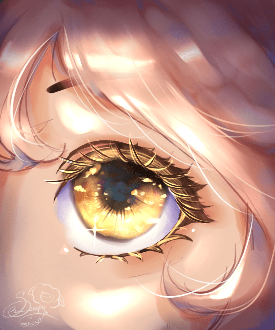 Eye See the World